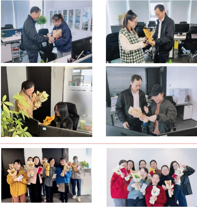 1678352533067.webp 1678352533067.webp