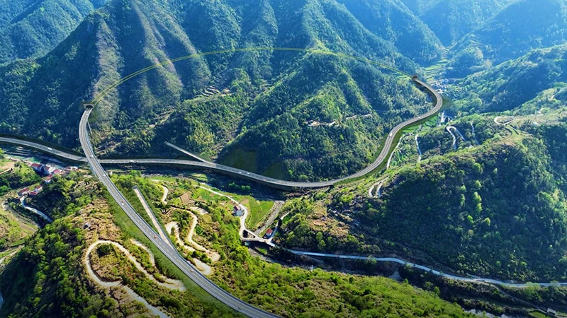 青田官网照片.webp 青田官网照片.webp